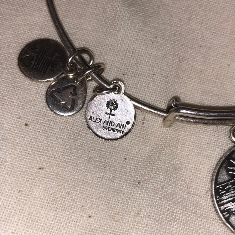 Alex & Ani - Picture 2 of 3
